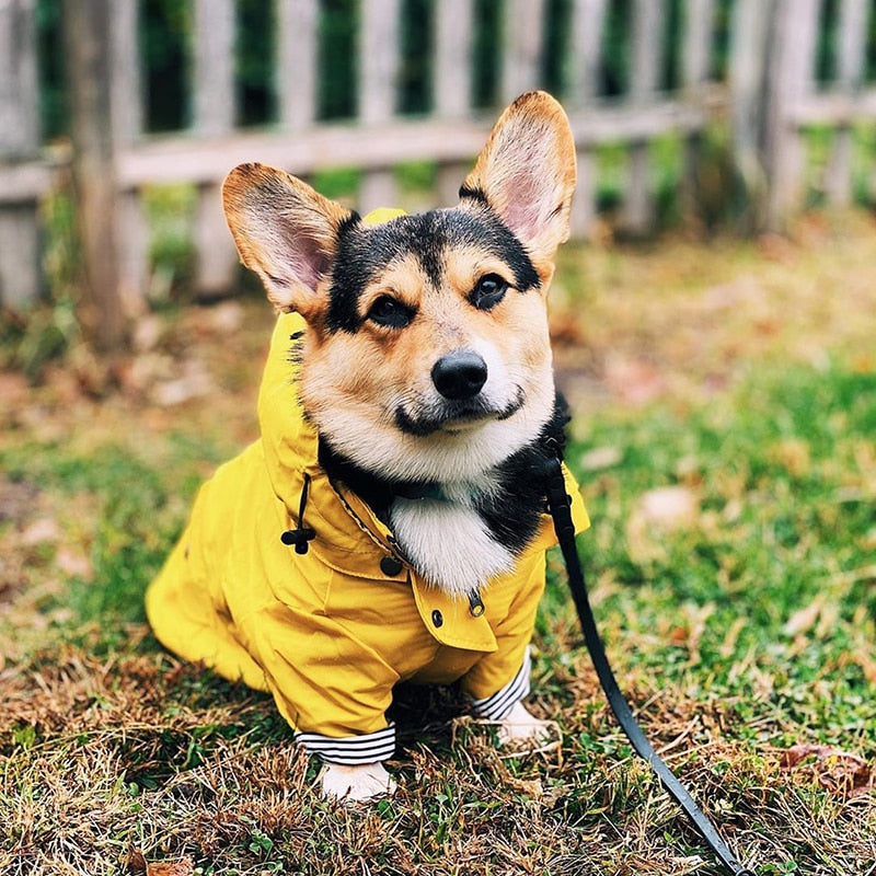 Be Happy Raincoat