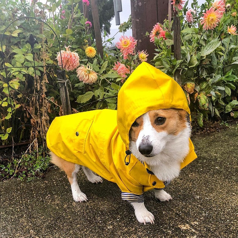 Be Happy Raincoat